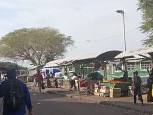Cleaning Services Tender Debacle Leaves Durban Taxi Ranks Littered With Human Waste