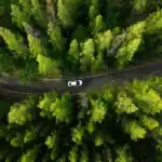Electric Vehicle