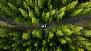 Electric Vehicle