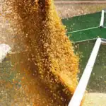 Oman Grain Hub Project