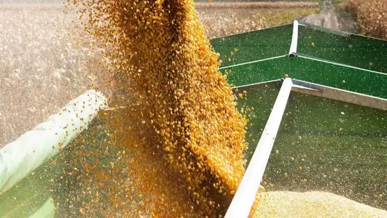 Oman Grain Hub Project