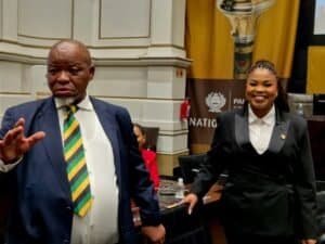 Mineral and Petroleum Resources Minister Gwede Mantashe