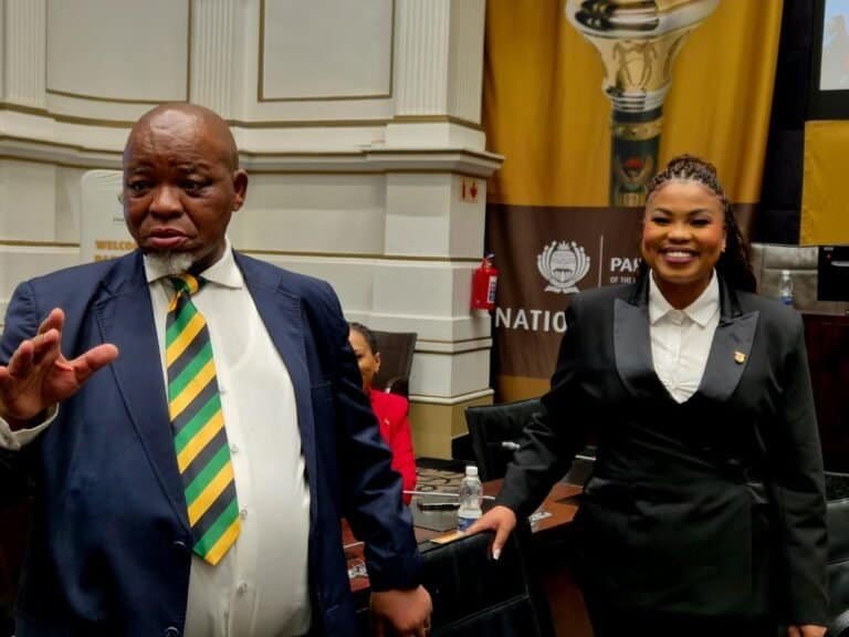Mineral and Petroleum Resources Minister Gwede Mantashe