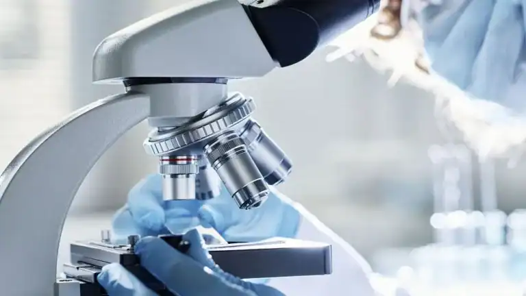 Russian Scientists Improve Waste Recycling Potential With Advanced Analytical Method