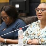 Parliament's National Assembly Speaker Thoko Didiza