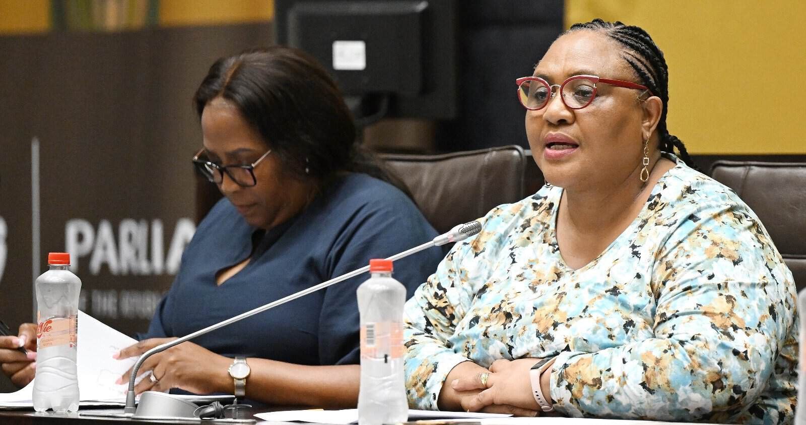 Parliament's National Assembly Speaker Thoko Didiza