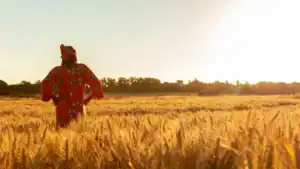 Zimbabwe Boosts Power Supply to Support Record Winter Wheat Harvest