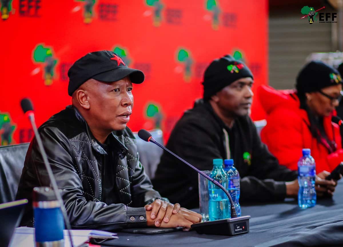 EFF President Julius Malema