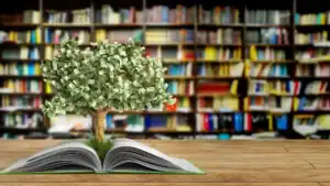 Knowledge as Raw Material: Why Education and Science Are Becoming Foundation of Future Economy