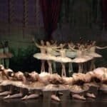 Youth Russian Ballet Company Enchants Johannesburg with Le Jardin Animé