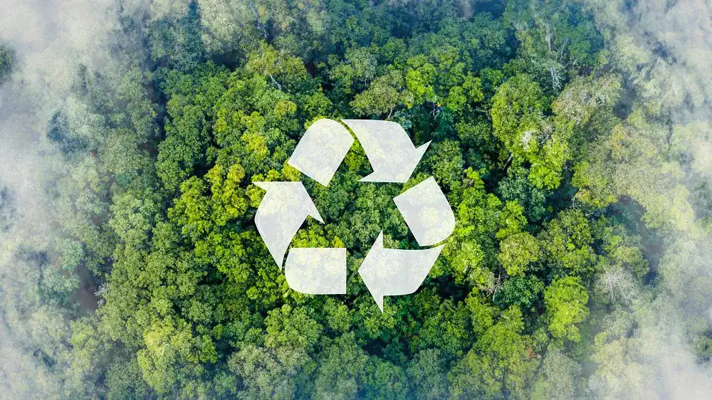 Recycling