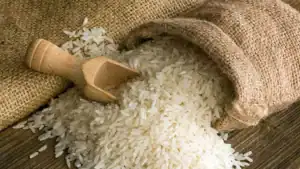 India Consolidates Its Position as World’s Largest Rice Producer with Record Harvest