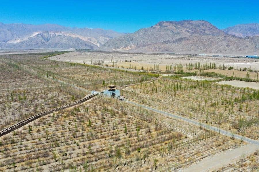 An aerial drone photo taken on April 11, 2025 shows a forest park in Hejing County, the Mongolian Autonomous Prefecture of Bayingolin, northwest China's Xinjiang Uygur Autonomous Region.