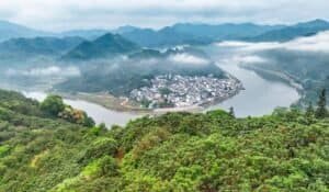 An aerial drone photo taken on May 22, 2026 shows a loquat plantation on the bank of Xin'an River in Shexian County of Huangshan, east China's Anhui Province.