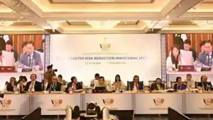BRICS Countries Adopt Joint Declaration on Disaster Risk Reduction