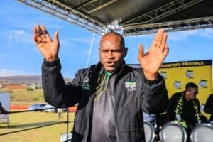 Limpopo ANC Chief Whip Essob Mokgonyana