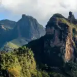 Ethiopia's 106 Protected Areas Trial Digital Wildlife Monitoring System