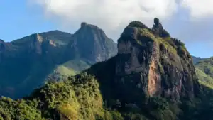 Ethiopia's 106 Protected Areas Trial Digital Wildlife Monitoring System
