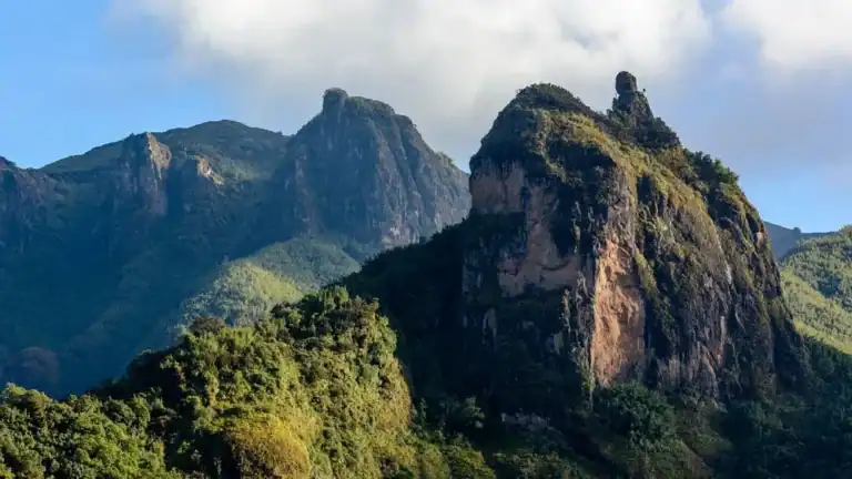Ethiopia's 106 Protected Areas Trial Digital Wildlife Monitoring System
