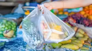 Tunisia Proposes Ban on Single-Use Plastic Bags