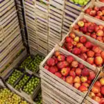 Russia’s Agricultural Exports to Africa Rise by 35% in Value in First Half of 2026