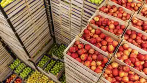 Russia’s Agricultural Exports to Africa Rise by 35% in Value in First Half of 2026