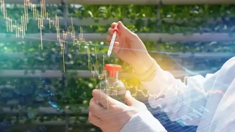Fertilisers and Agrochemicals: Supply Chains and Trade Within BRICS