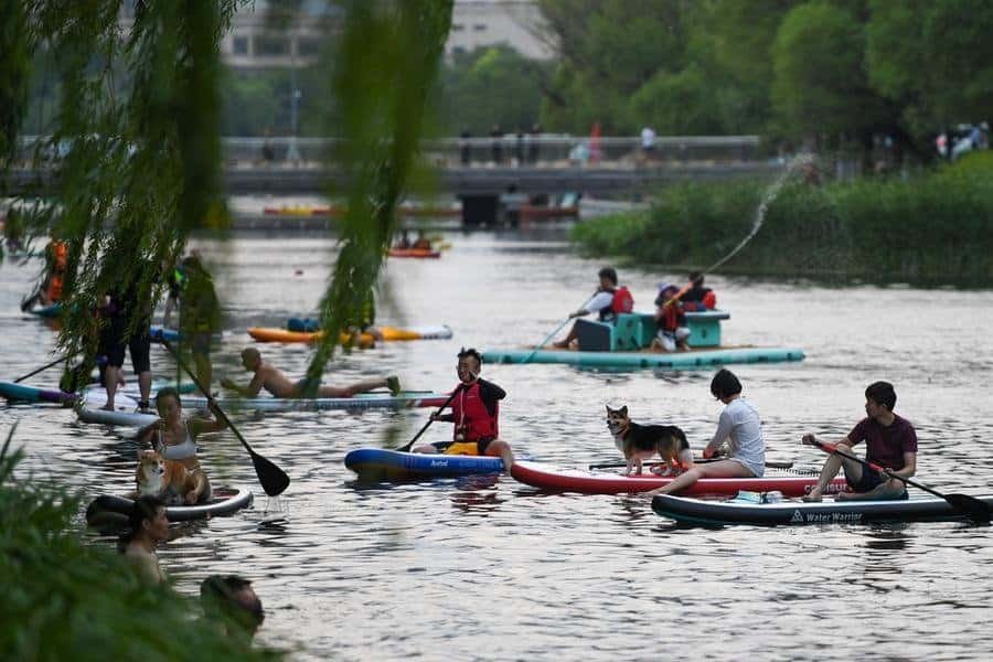 People enjoy paddleboarding on the Liangma River in Beijing, capital of China, June 23, 2023.