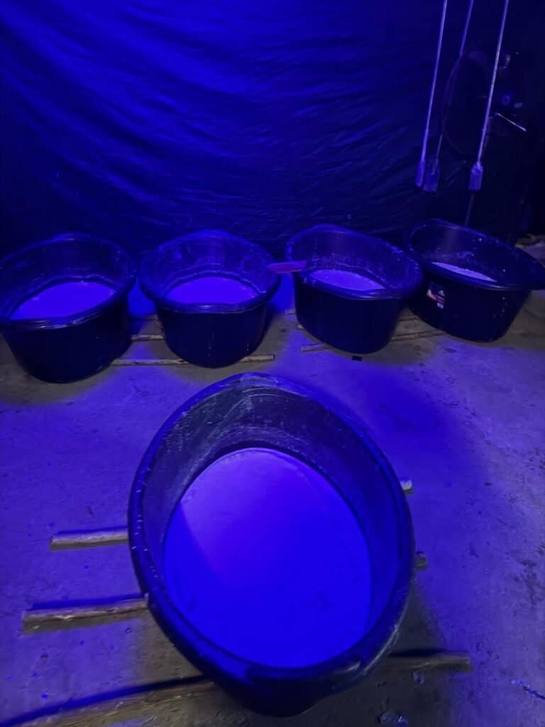 R600m Musina Drug Lab Bust Exposes Growing Illicit Manufacturing Network In Limpopo