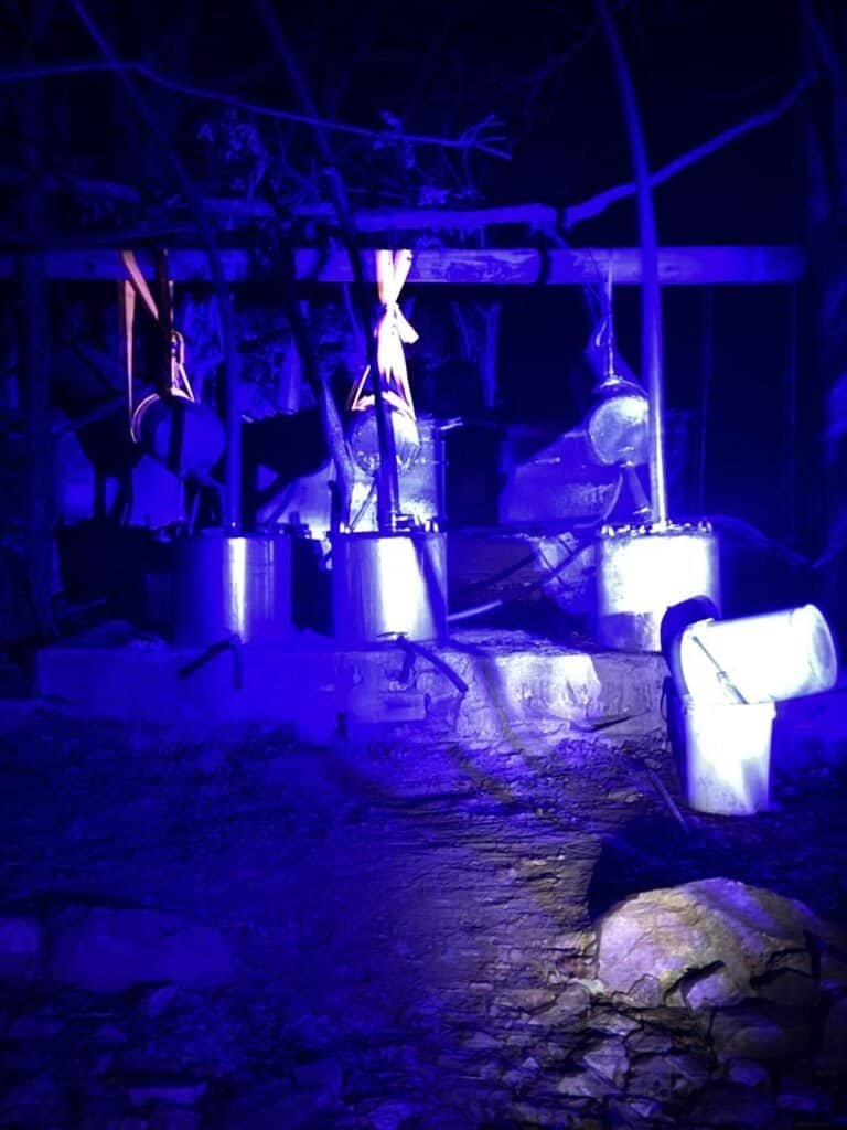 R600m Musina Drug Lab Bust Exposes Growing Illicit Manufacturing Network In Limpopo