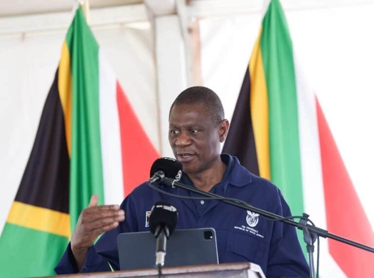 Deputy President Paul Mashatile