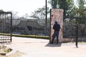 Phala Phala Farm