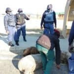 Eastern Cape Stock Theft Task Team
