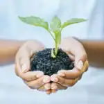 Ethiopians Aim to Plant 800 Million Trees in Single Day