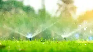 Iran Links Agricultural and Water Data Systems to Improve Resource Use