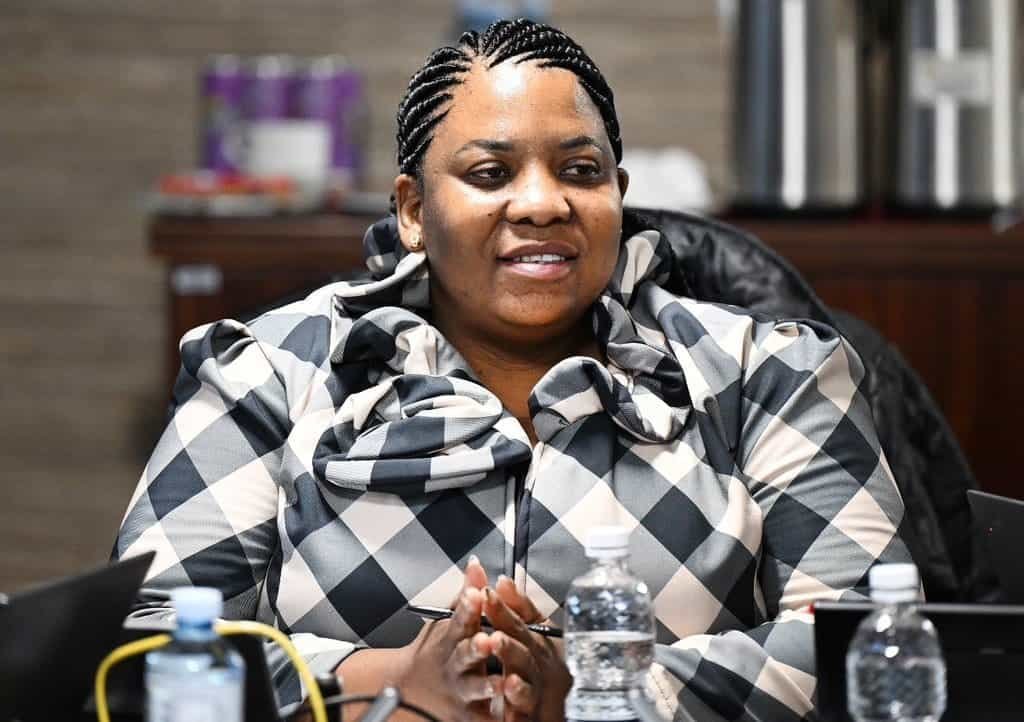 Portfolio Committee on Public Works Chairperson Carol Mokgadi Phiri