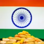 Development of India's Pharmaceutical Industry and Medicine Exports