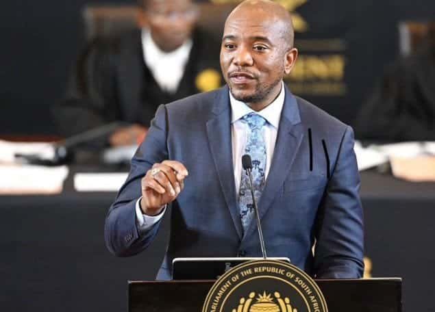 Standing Committee on Appropriations chairperson Dr Mmusi Maimane