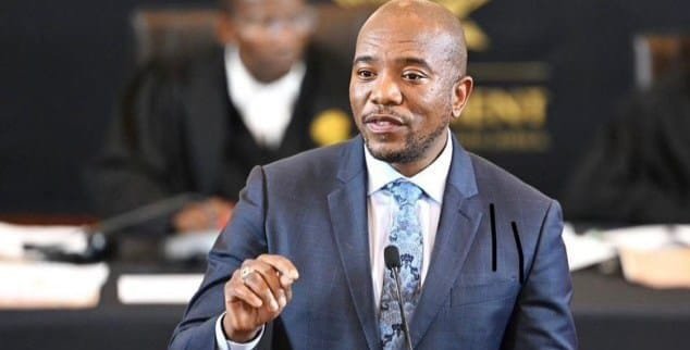 Standing Committee on Appropriations chairperson Dr Mmusi Maimane