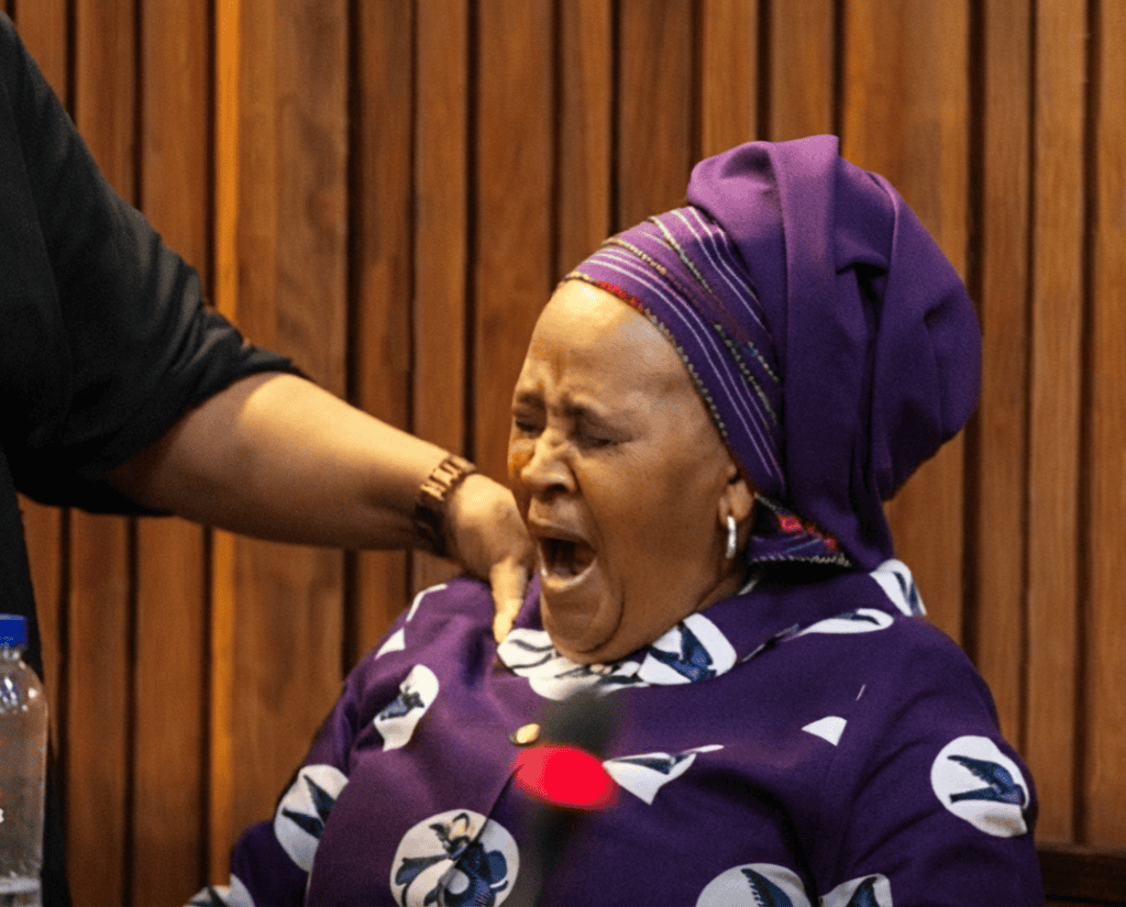 Former Defence and Military Veterans Minister Nosiviwe Mapisa-Nqakula