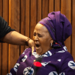 Former Defence and Military Veterans Minister Nosiviwe Mapisa-Nqakula