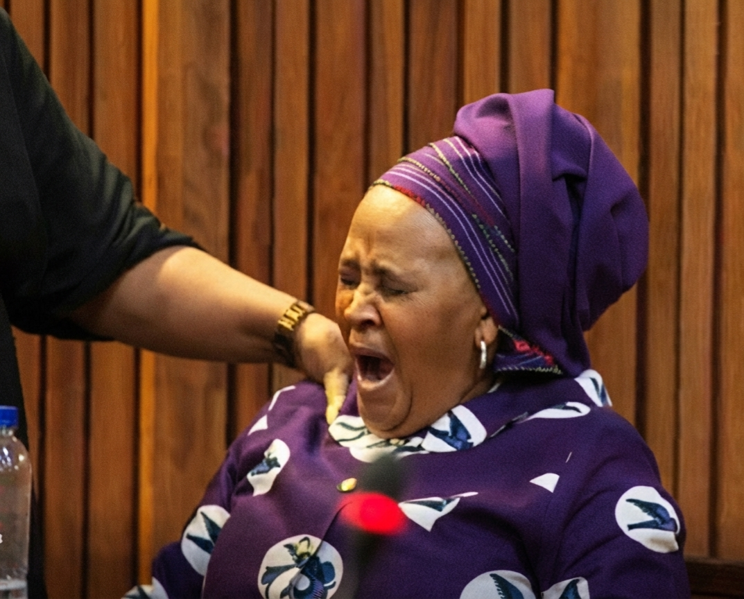 Nosiviwe Mapisa-Nqakula’s Corruption Trial Halted After She Falls Ill In Court - African Times