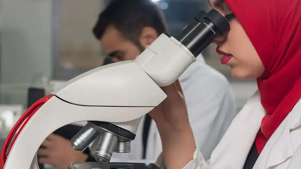 Number of Universities in Egypt Increases Almost Two and Half Times Over 12 Years