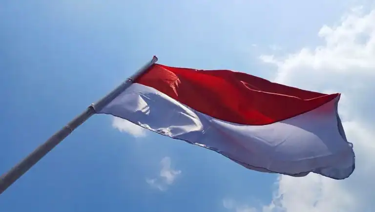 Indonesia to Train Representatives From Six African Countries in Trade and Investment Development