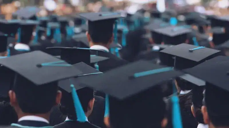 Education Without Borders: Which Specialisations Are Most in Demand at BRICS Universities